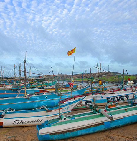 Dodanduwa Fisheries Harbour
