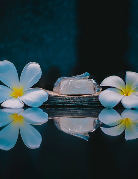 A Complete Guide to Wellness Spa Treatments at Aditya Resort, Sri Lanka