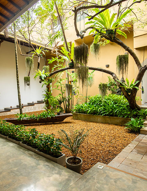 Unwinding In Paradise: Your Guide To Natural Healing At Sri Lanka’s Top Ayurveda Retreats